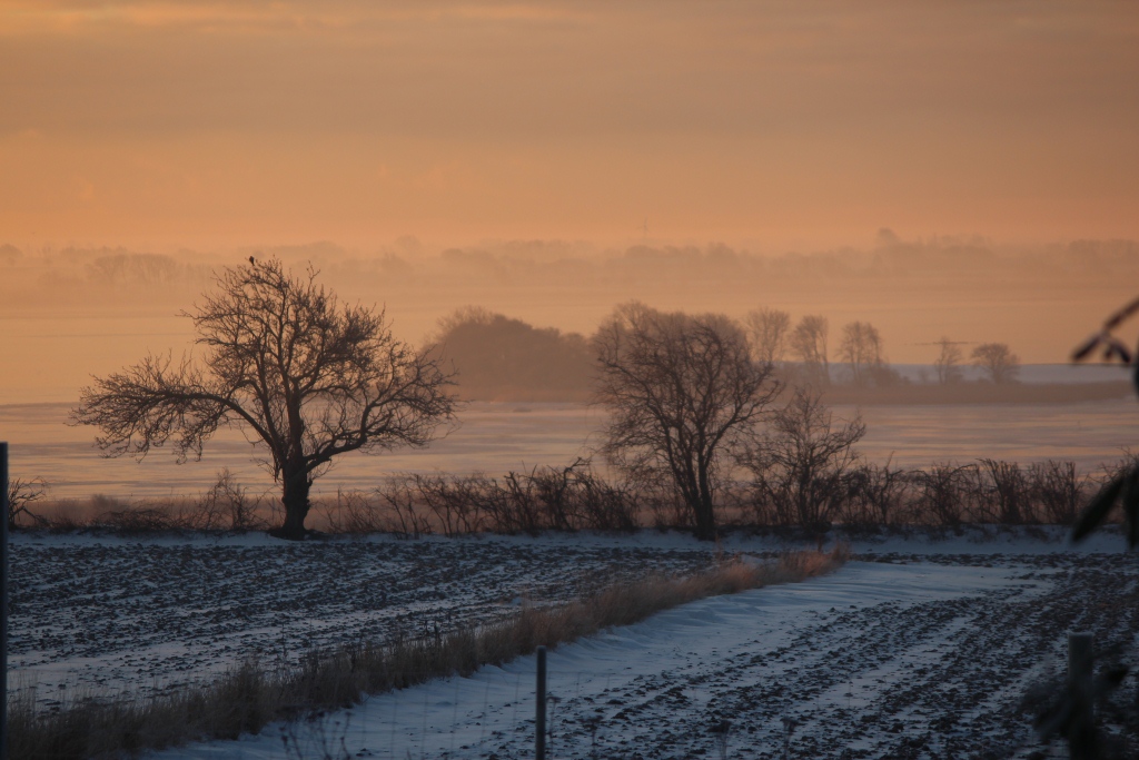 Morgendis jan 2013.