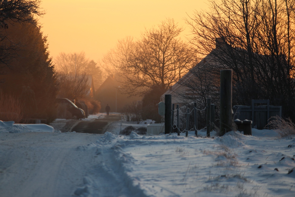 Kalvehave Mark i vintermorgendis.