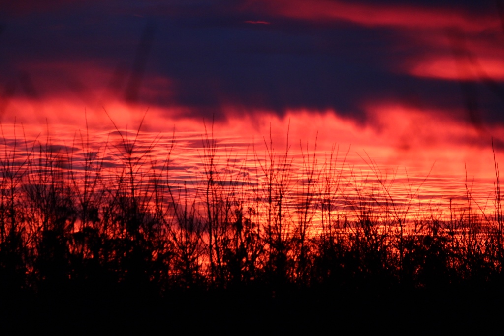 Morgensol