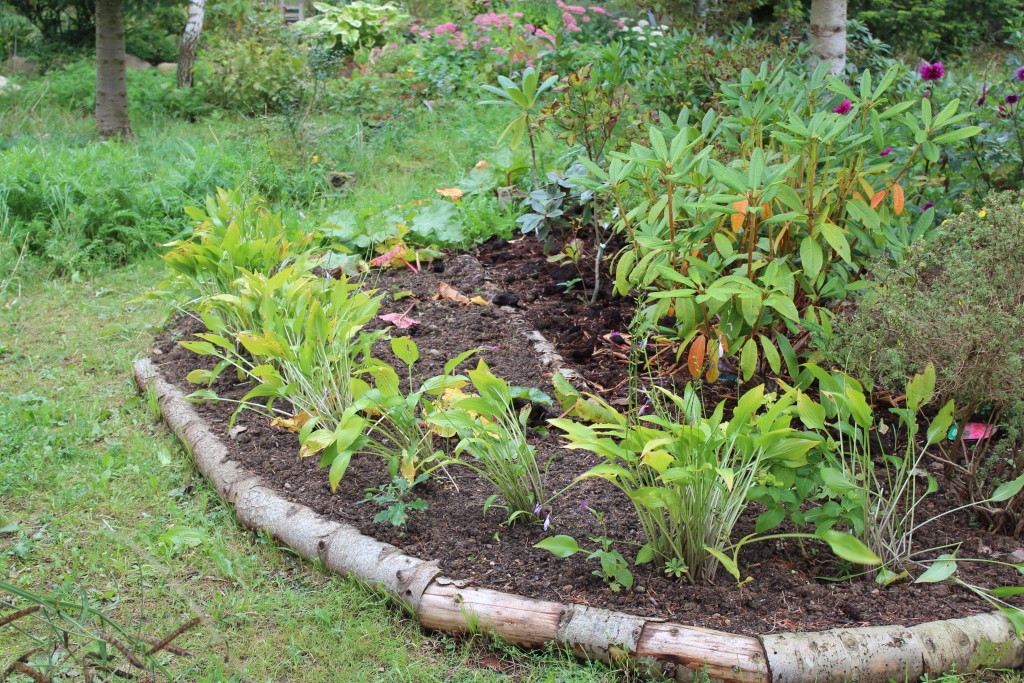 Hosta1