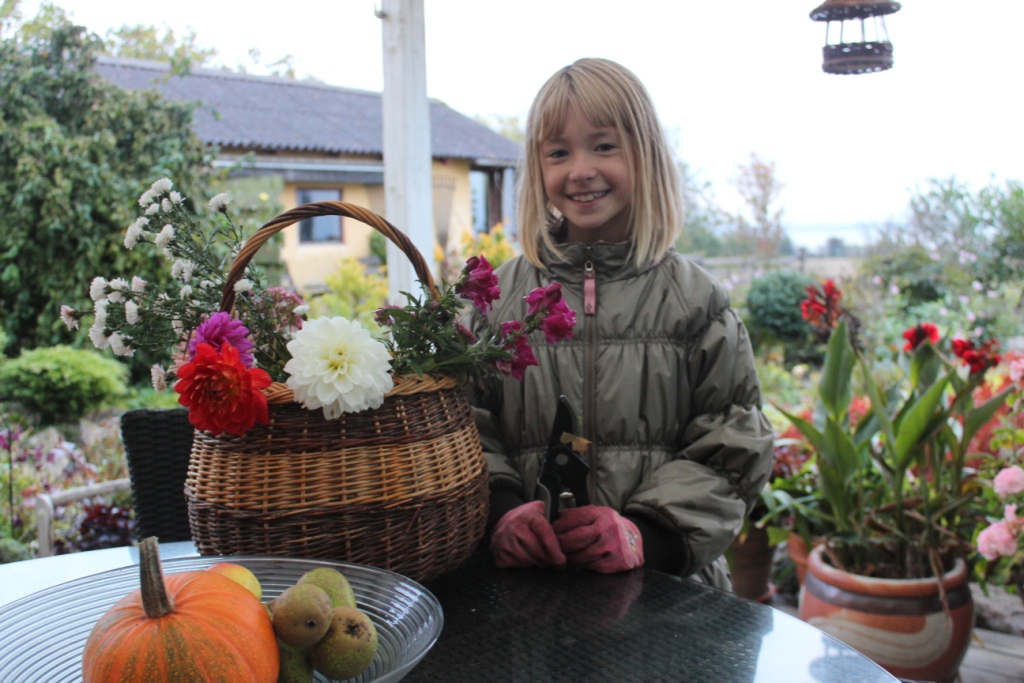 Blomsterkurv