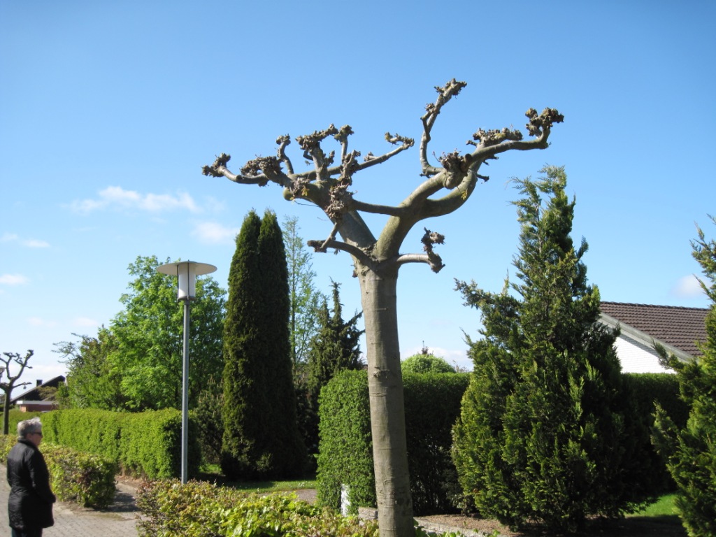 Skulptur.